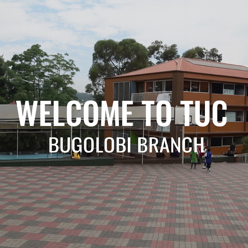 Home Train Up A Child Schools